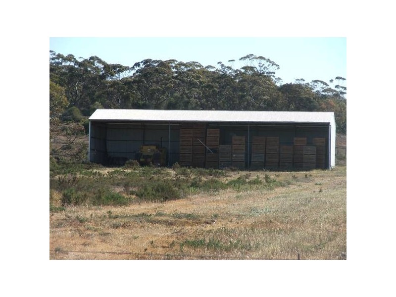 Lot 10 Punyelroo via, Swan Reach SA 5354