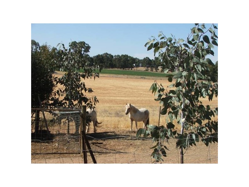 Black Hill Road (marne Road) Kongolia Via, Cambrai SA 5353