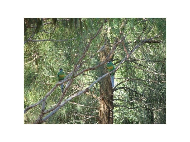 Black Hill Road (marne Road) Kongolia Via, Cambrai SA 5353