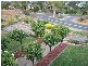 River Lane, Mannum SA 5238