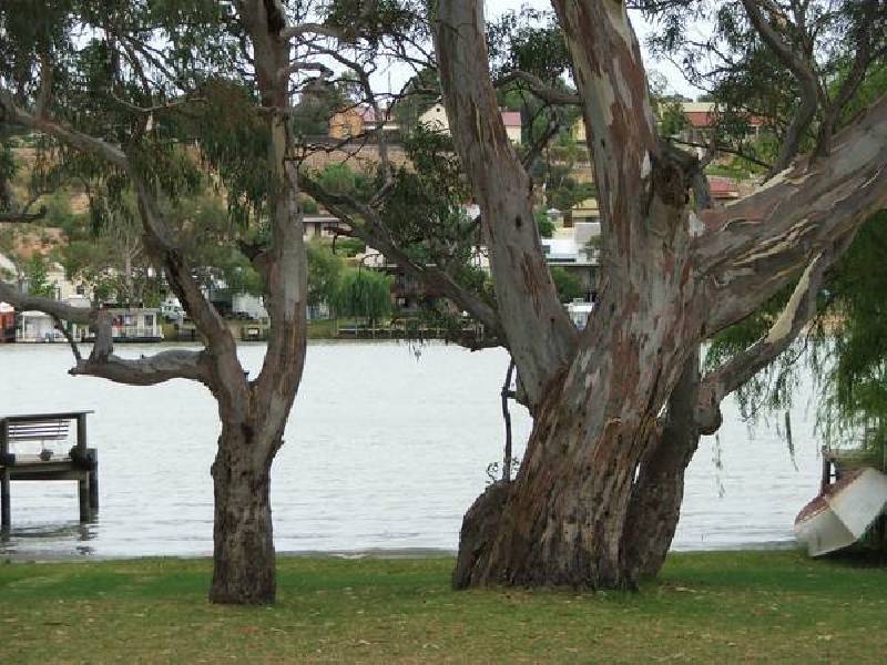 26 Khartoum Road "Bolto Reserve", Mannum SA 5238