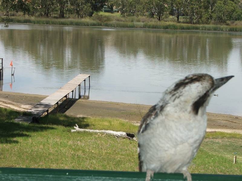 Shack N Bond Street, Walker Flat SA 5238