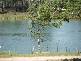 Langs Landing via, Swan Reach SA 5354