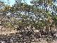Proposed lots 100, 101 & 102 Rock & Roll Road, Bowhill SA 5238