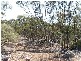 Proposed lots 100, 101 & 102 Rock & Roll Road, Bowhill SA 5238