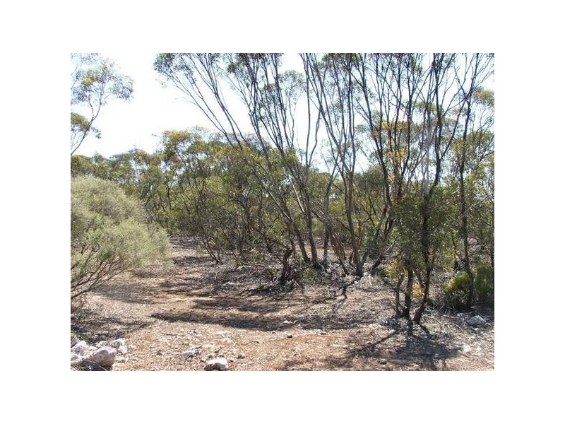 Proposed lots 100, 101 & 102 Rock & Roll Road, Bowhill SA 5238