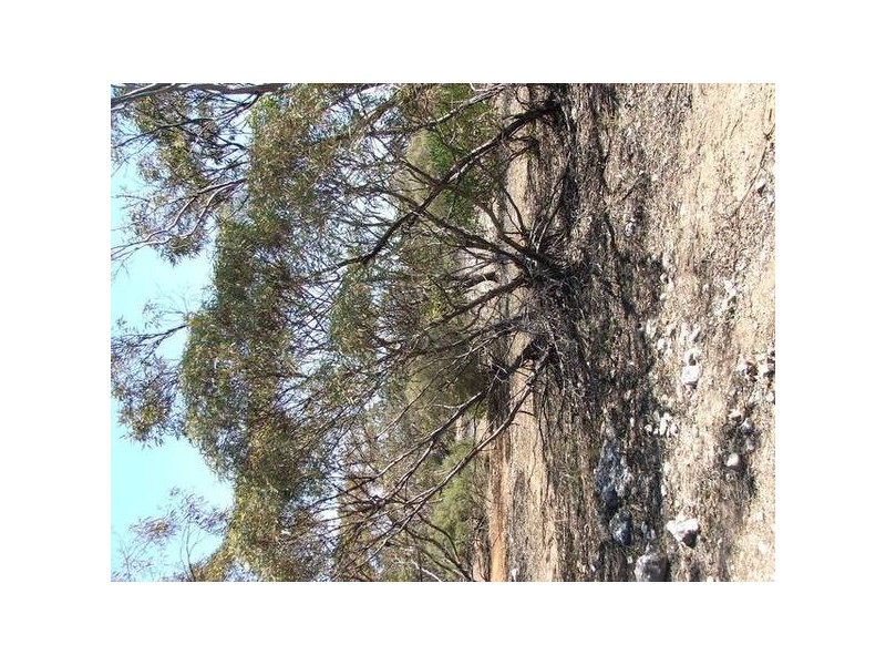 Proposed lots 100, 101 & 102 Rock & Roll Road, Bowhill SA 5238