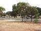 62 Adelaide Road, Mannum SA 5238