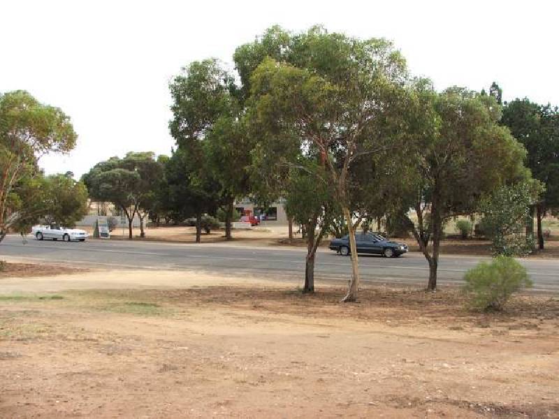 62 Adelaide Road, Mannum SA 5238