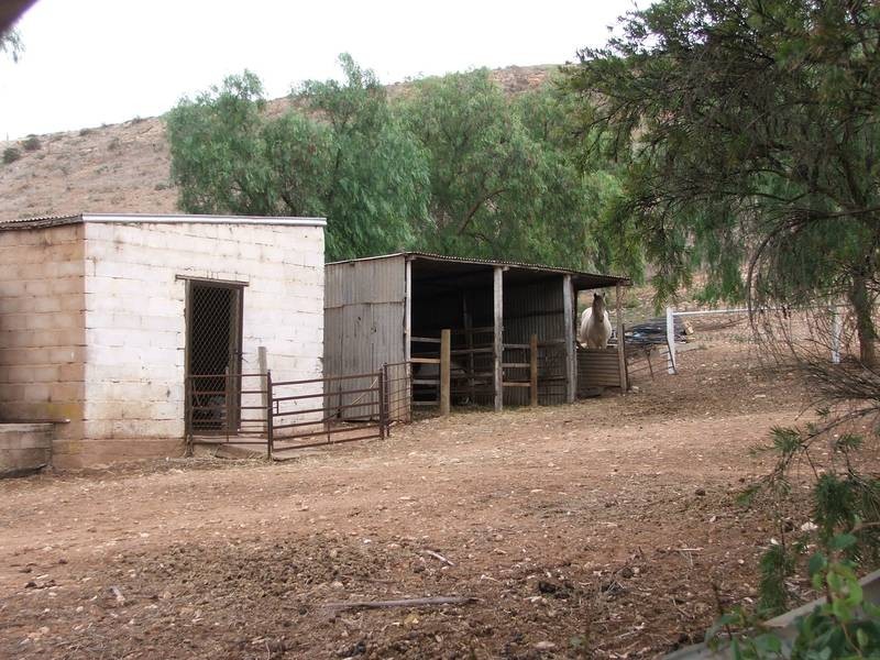 Allot 147 Purnong Road, Mannum SA 5238