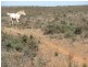 Allot 147 Purnong Road, Mannum SA 5238