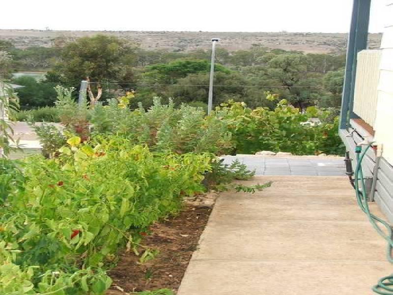 Allot 113 Tom Groggin Drive Younghusband via, Mannum SA 5238