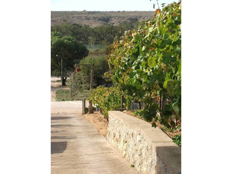 Allot 113 Tom Groggin Drive Younghusband via, Mannum SA 5238