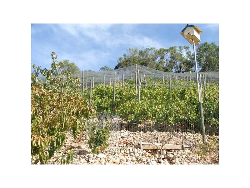 Allot 113 Tom Groggin Drive Younghusband via, Mannum SA 5238