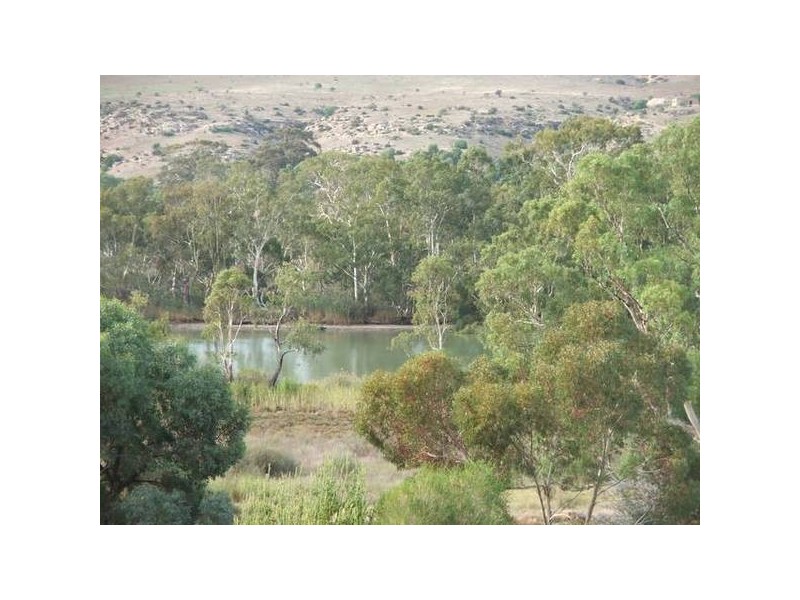 Allot 113 Tom Groggin Drive Younghusband via, Mannum SA 5238