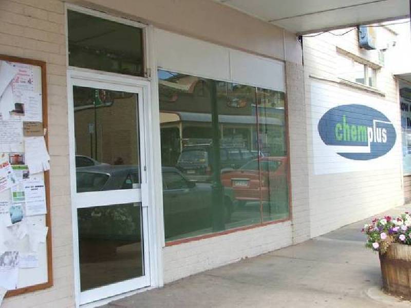 84 Randell Street, Mannum SA 5238