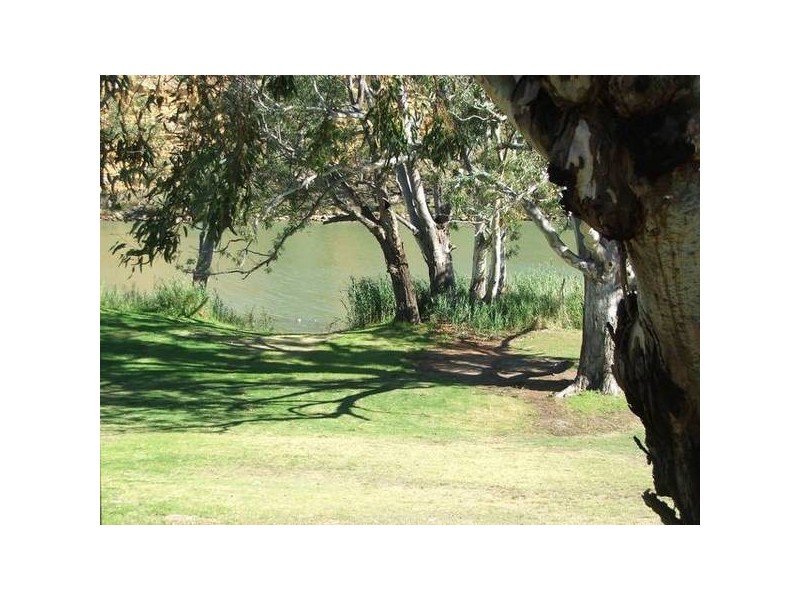 Site 31 Mark’s Landing, Swan Reach SA 5354