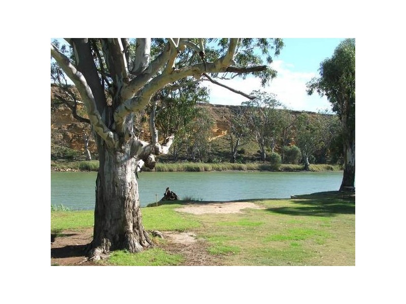 Site 31 Mark’s Landing, Swan Reach SA 5354