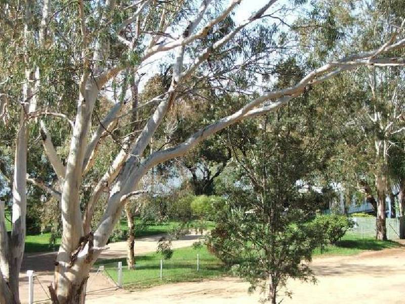 101 River Lane, Mannum SA 5238