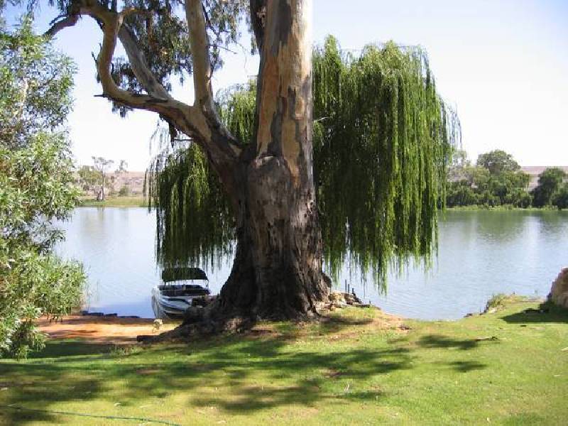 21 Eastfront Road, Younghusband, Mannum SA 5238