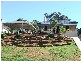 63 Purnong Road, Mannum SA 5238