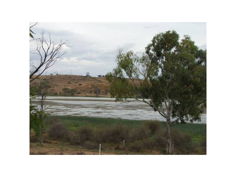 Purnong Road, Mannum SA 5238