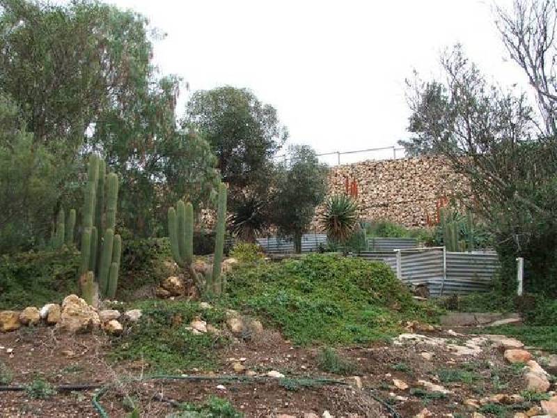 7 Schuetze Street, Mannum SA 5238