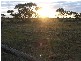 Sections Nildottie Road, Swan Reach SA 5354