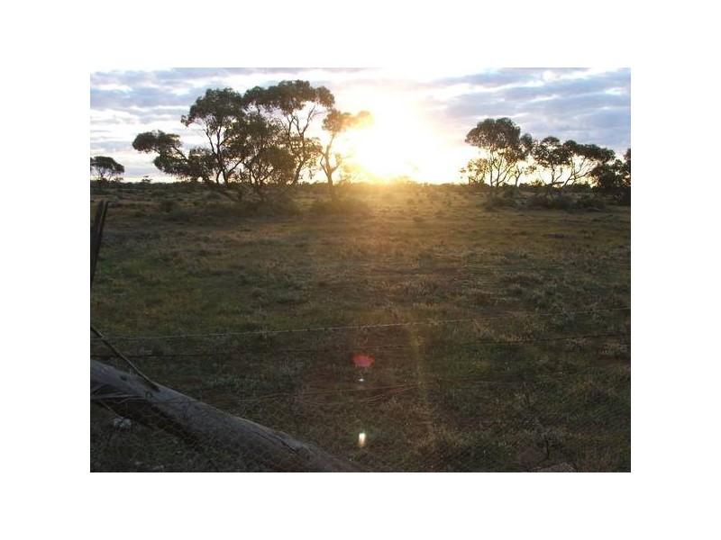Sections Nildottie Road, Swan Reach SA 5354