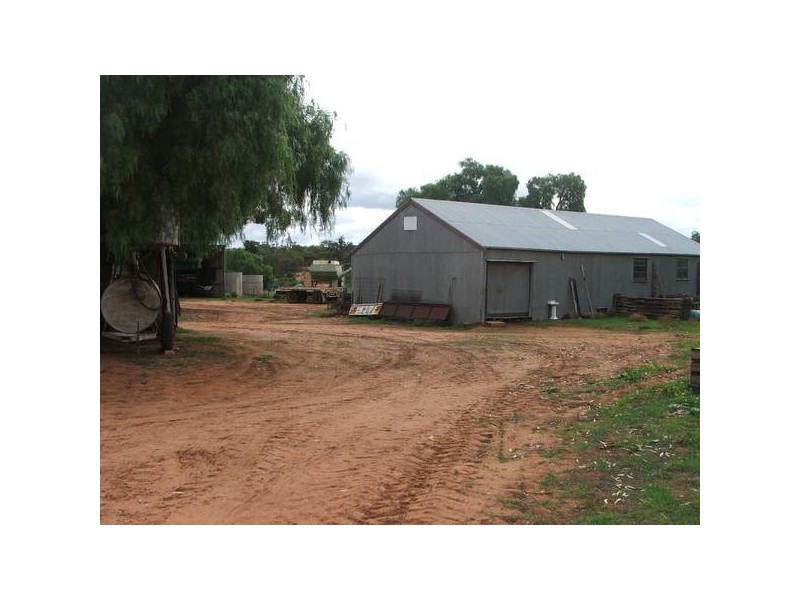 Sections Nildottie Road, Swan Reach SA 5354