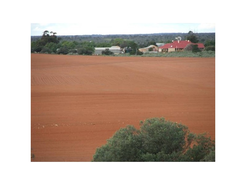 Sections Nildottie Road, Swan Reach SA 5354