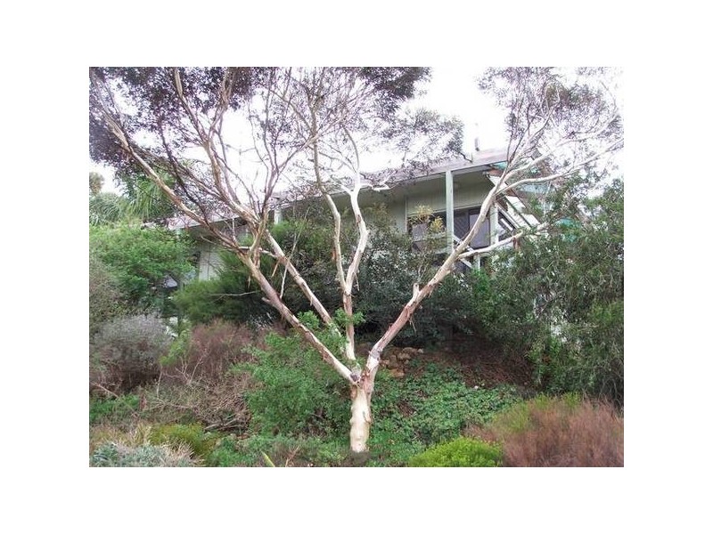 17 Purnong Road, Mannum SA 5238