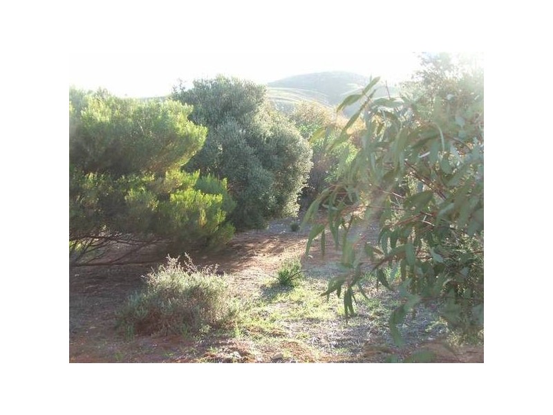 Pohl Road, Sanderston SA 5237