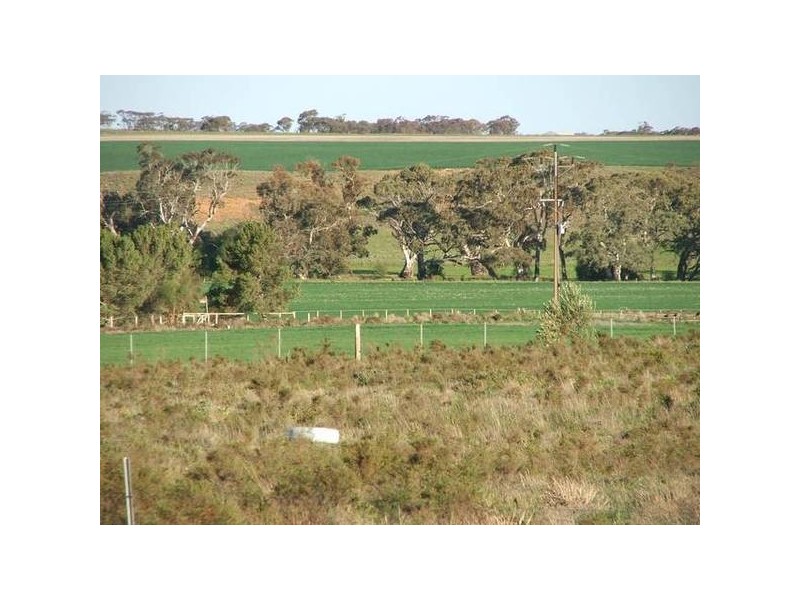 Pohl Road, Sanderston SA 5237