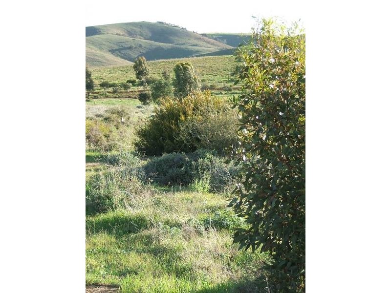 Pohl Road, Sanderston SA 5237