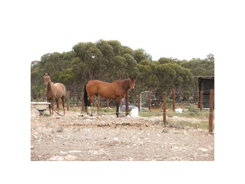 4 Cockshell Road, Bowhill SA 5238