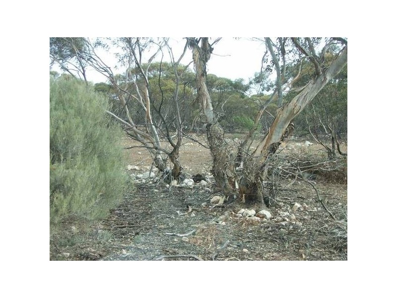 4 Cockshell Road, Bowhill SA 5238