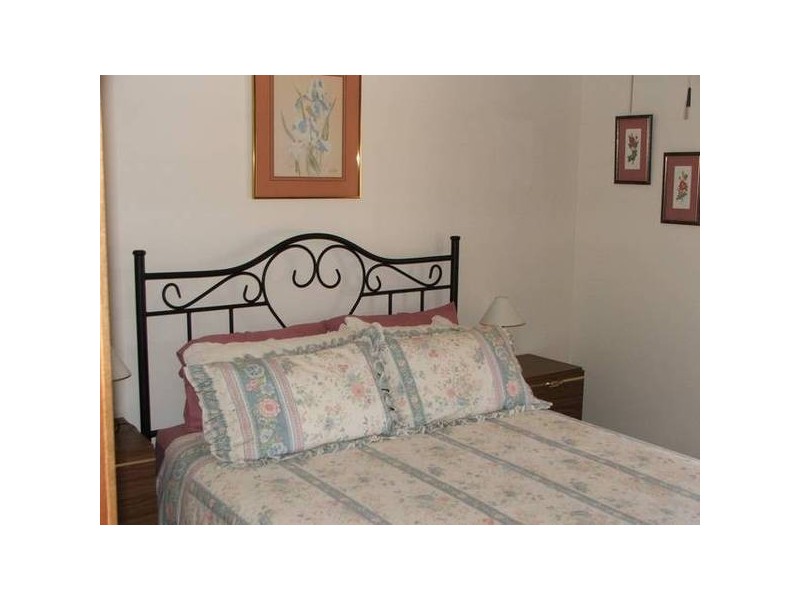 Codrington Rd, Mannum SA 5238