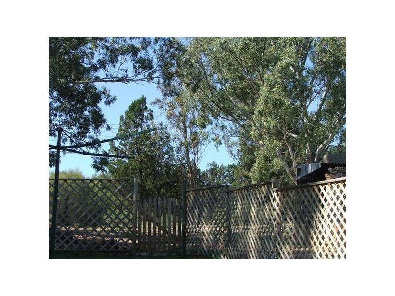 54 Anzac Avenue, Swan Reach SA 5354