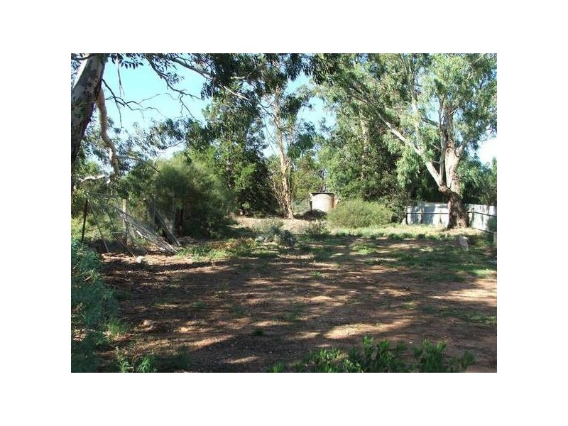 54 Anzac Avenue, Swan Reach SA 5354