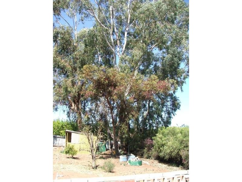 6 Conner Rd, Swan Reach SA 5354