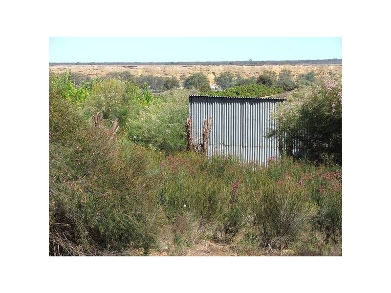 6 Conner Rd, Swan Reach SA 5354