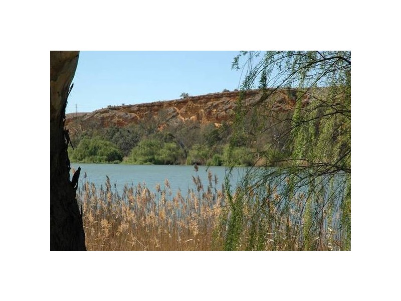 Allot 30 Rob Loxton Road, Walker Flat SA 5238