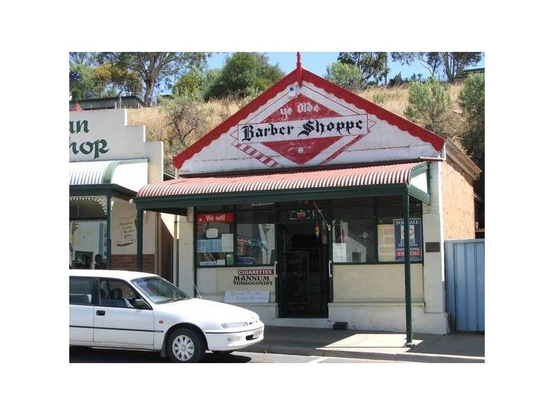 59 Randell Street, Mannum SA 5238
