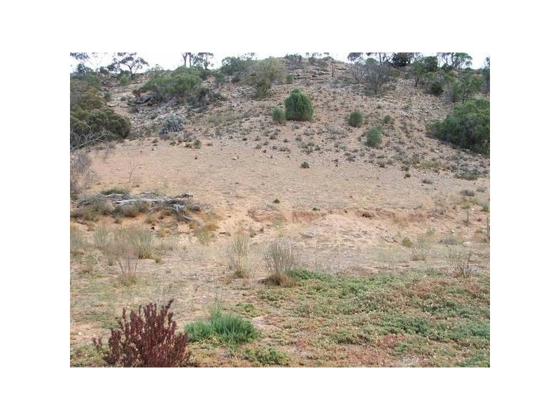 Allot 130 Panorama Ave, Younghusband, Mannum SA 5238