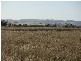 lot 92 Long Gully Rd, Mannum SA 5238