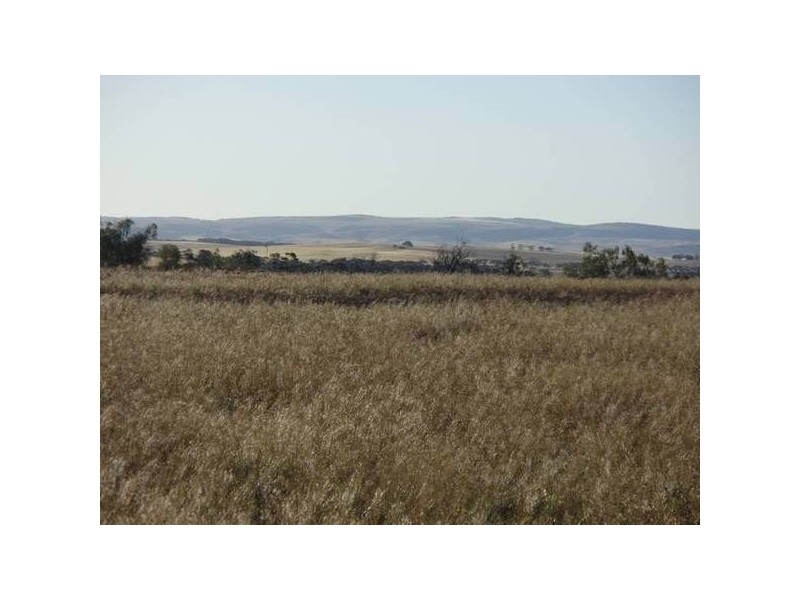 lot 92 Long Gully Rd, Mannum SA 5238