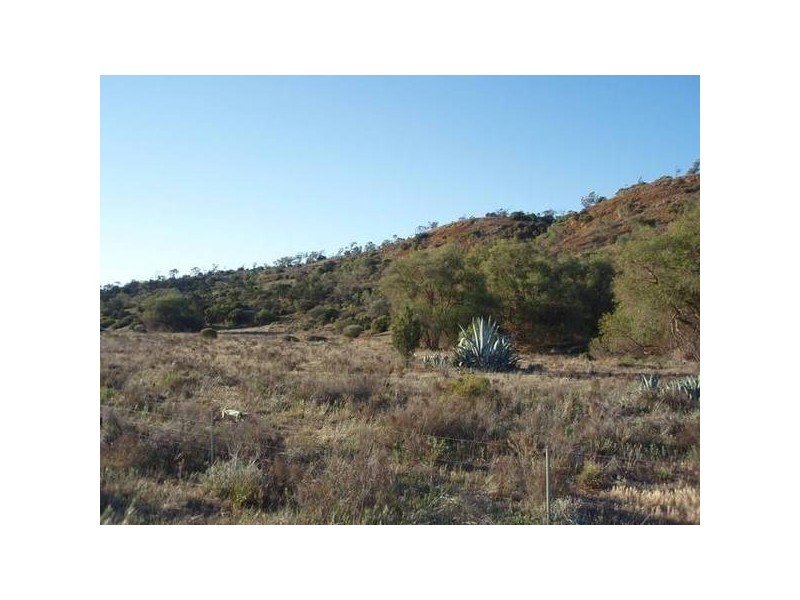 lot 92 Long Gully Rd, Mannum SA 5238