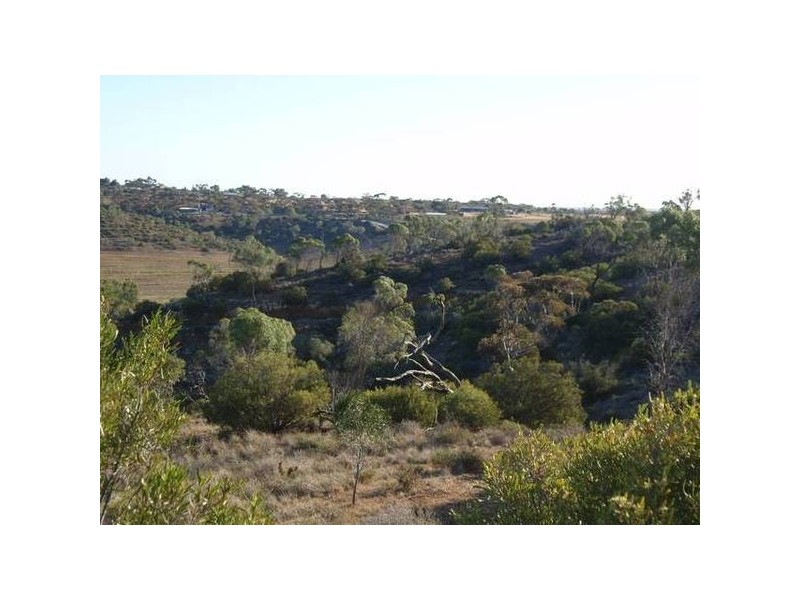 lot 92 Long Gully Rd, Mannum SA 5238