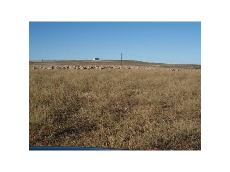lot 92 Long Gully Rd, Mannum SA 5238